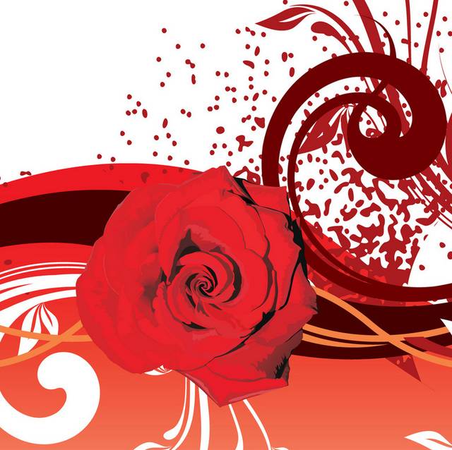 抽象红色玫瑰无框画1