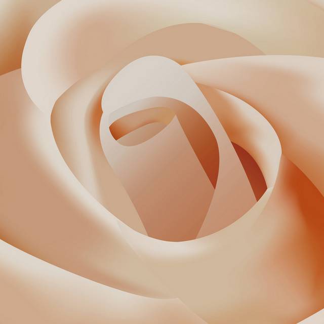 白玫瑰无框画2