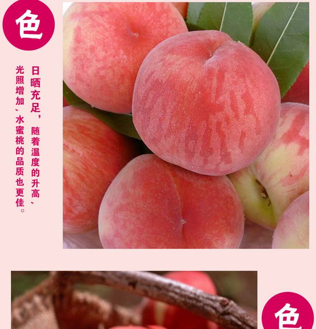 鲜甜水蜜桃详情页