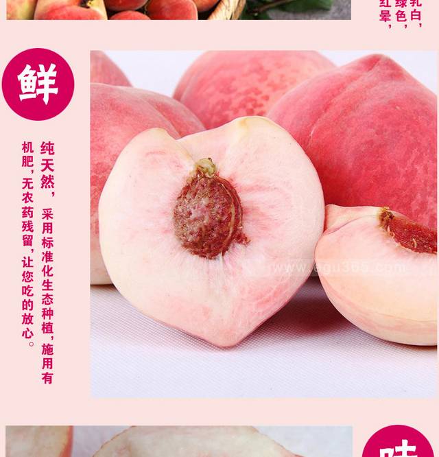鲜甜水蜜桃详情页