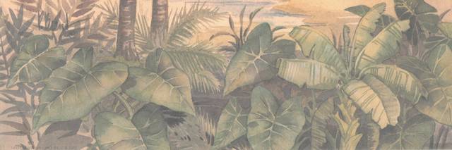 素雅椰树装饰画