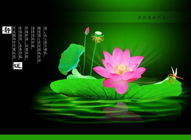 荷花文字无框画