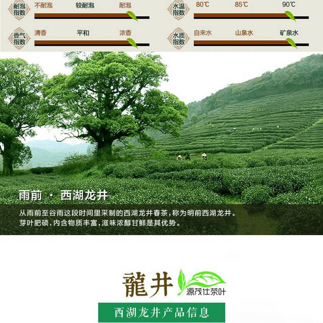 精品西湖龙井详情页