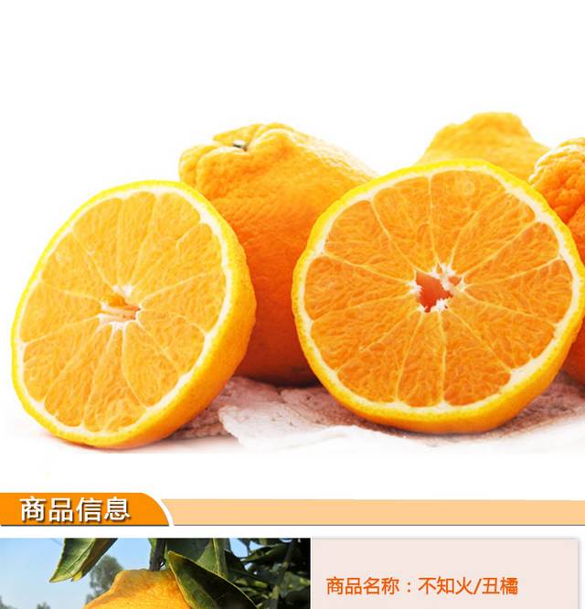 丑橘详情页