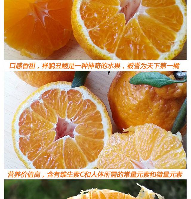丑橘详情页