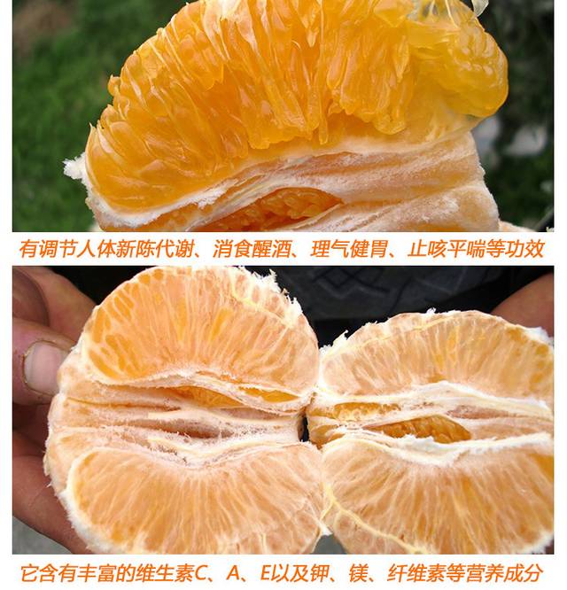 丑橘详情页