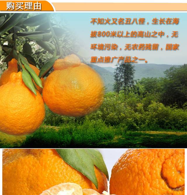 丑橘详情页