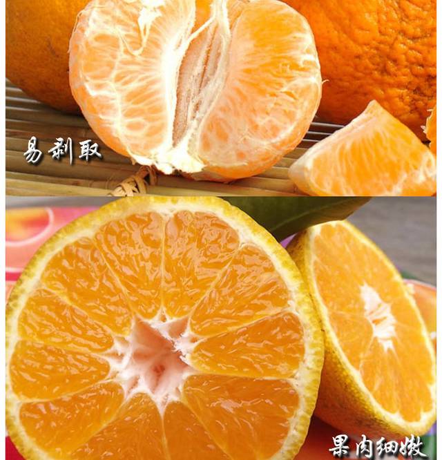 丑橘详情页