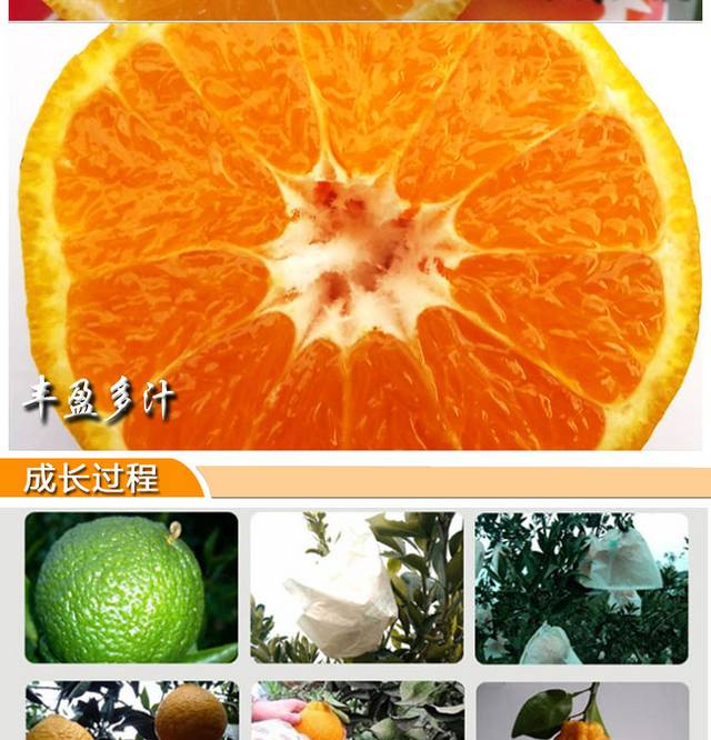 丑橘详情页