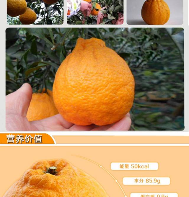 丑橘详情页