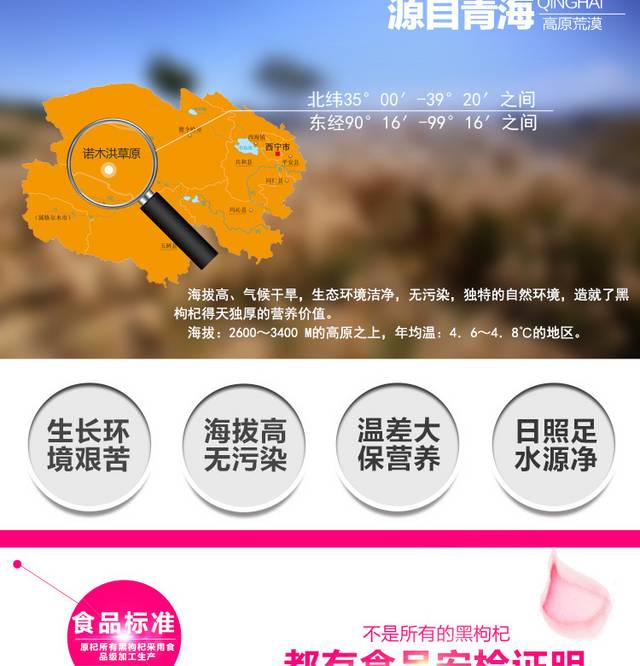 黑枸杞详情页