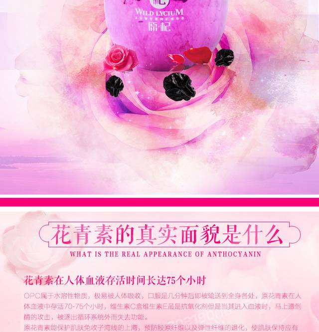 黑枸杞详情页