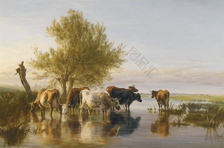 一群水牛风景油画_图品汇