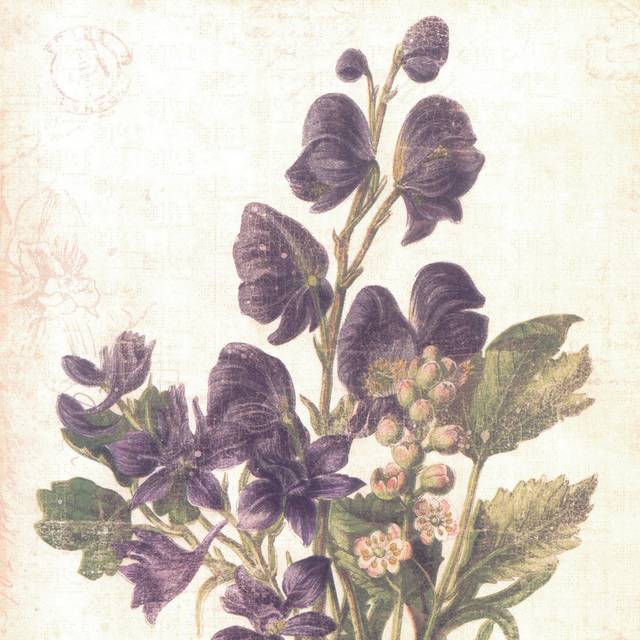 紫花装饰画