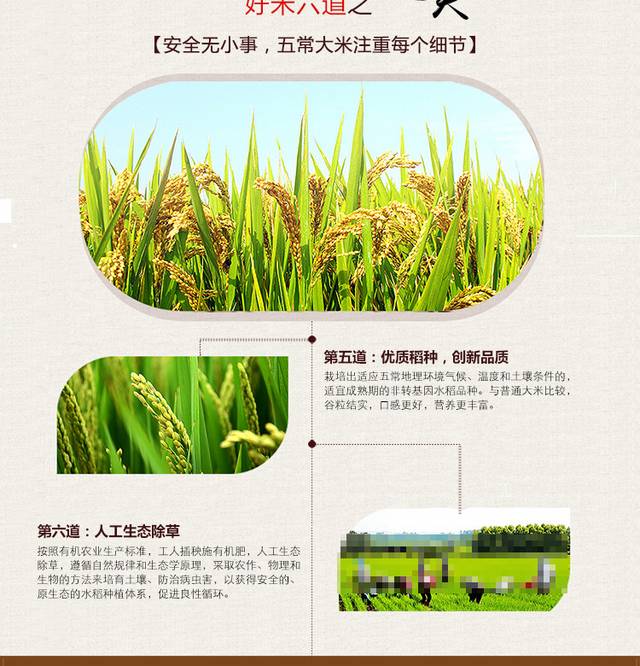 大米详情页