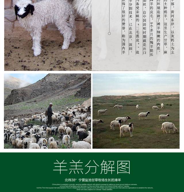 羊肉详情页