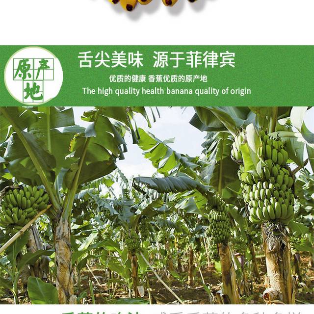 菲律宾香蕉详情页