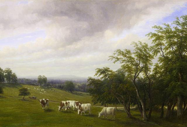 吃草的牛群风景油画