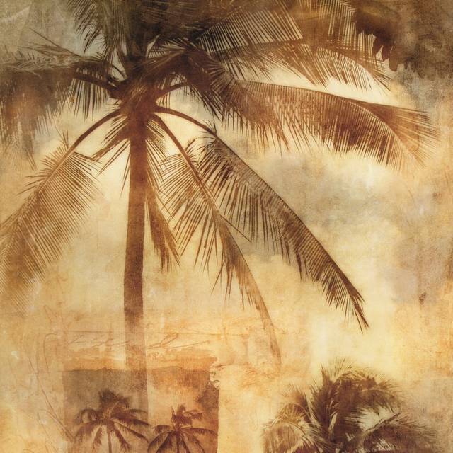 复古椰树装饰画1