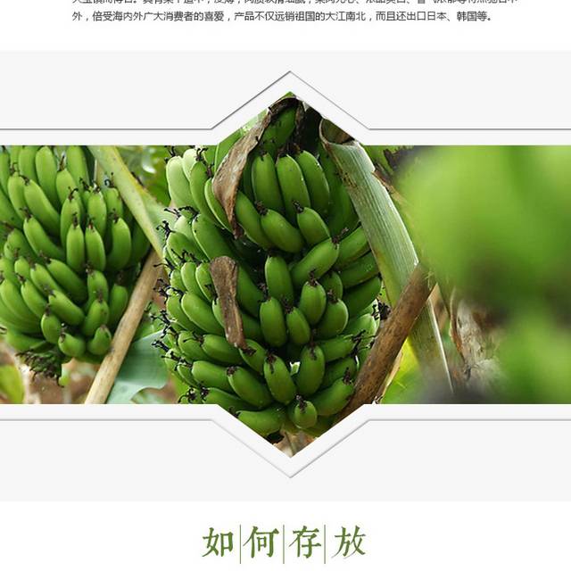 甜美香蕉详情页