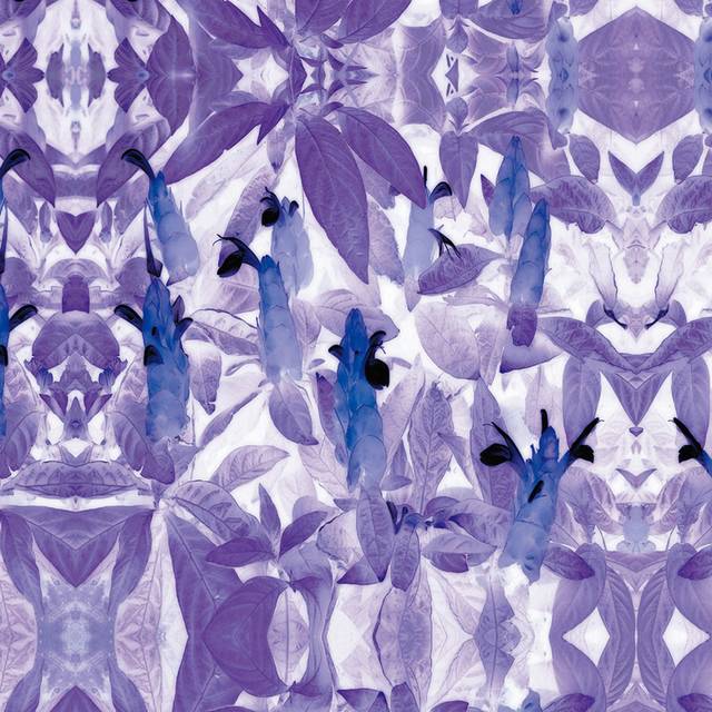 抽象紫色植物装饰画
