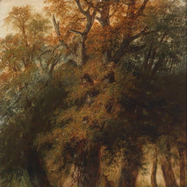 秋日树木风景油画