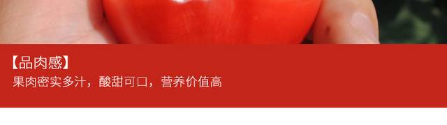 生态西红柿详情页