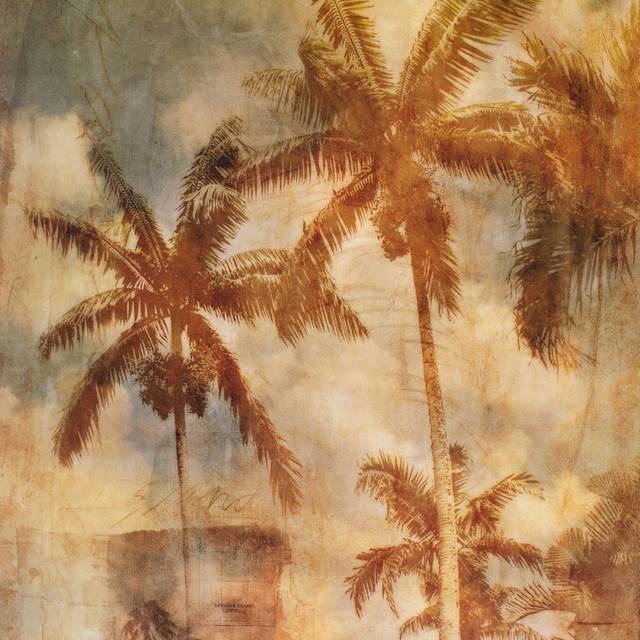 复古椰树装饰画