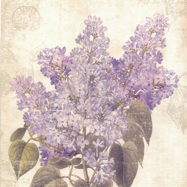紫花装饰画1