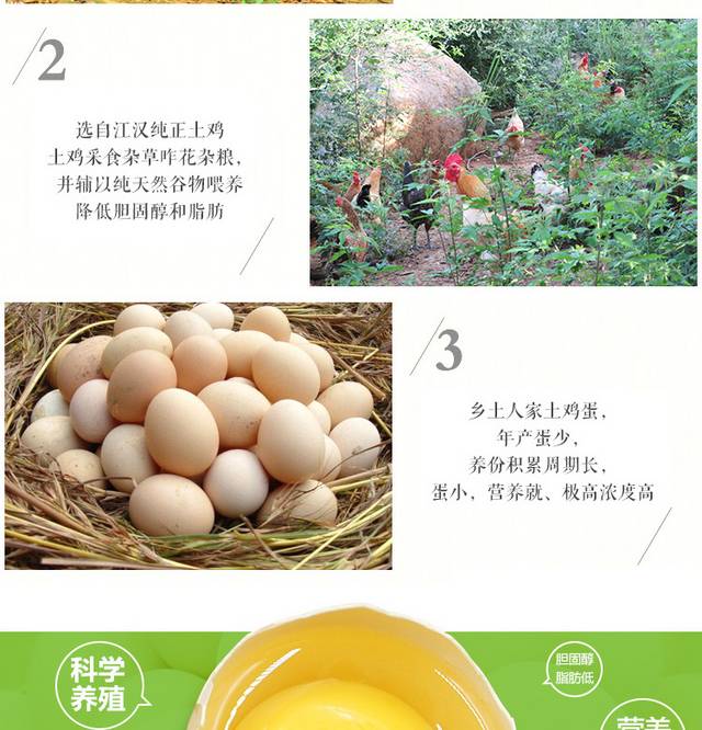 农家土鸡蛋详情页