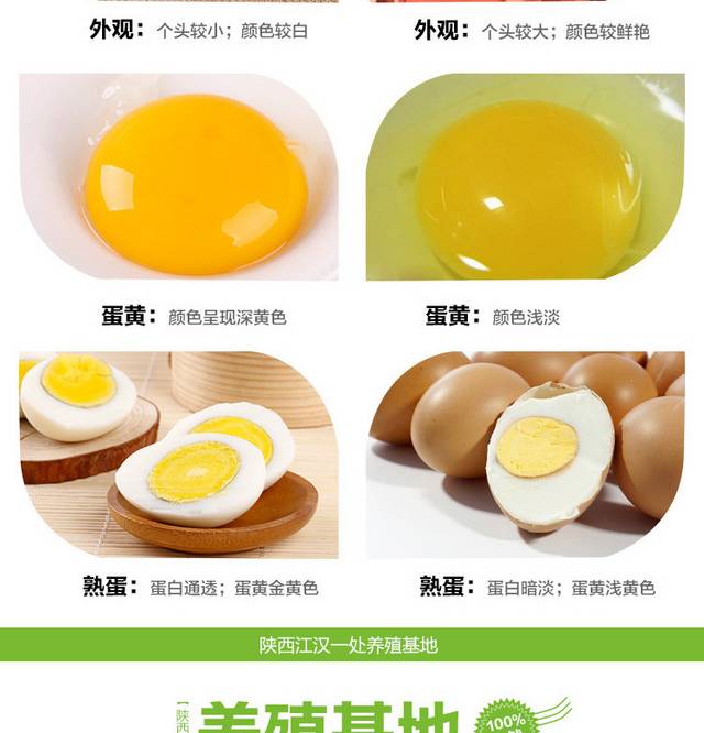 农家土鸡蛋详情页