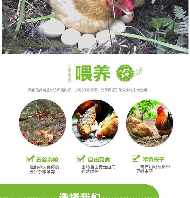 农家土鸡蛋详情页