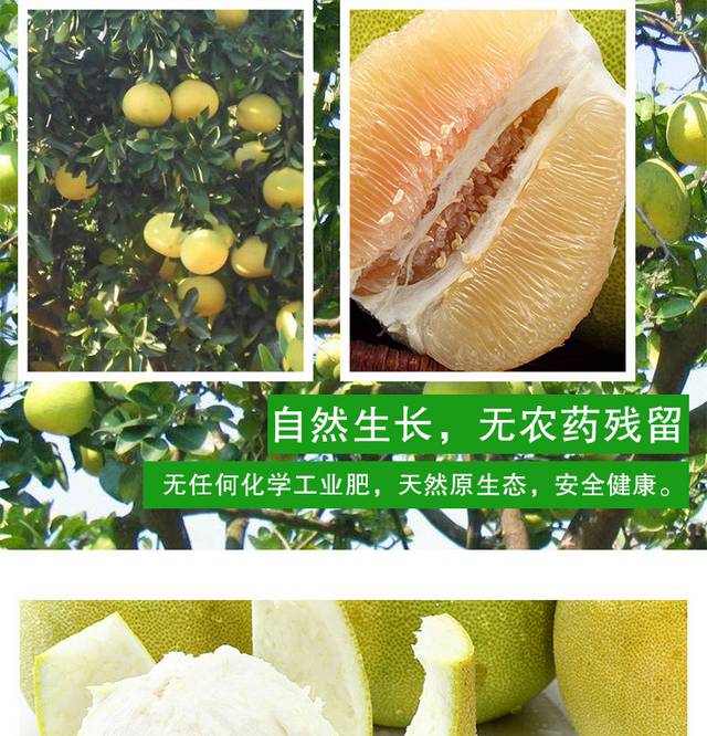 新鲜柚子详情页