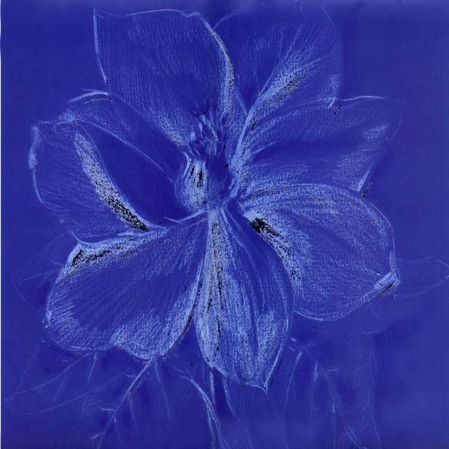 蓝色花朵油画素材