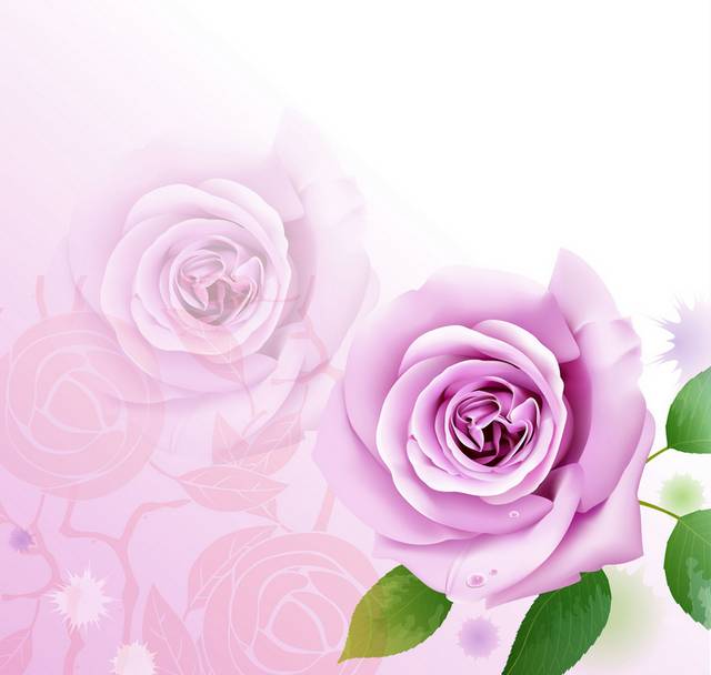 粉色花卉底纹装饰挂画