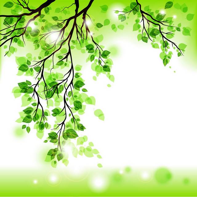 绿色树枝装饰挂画