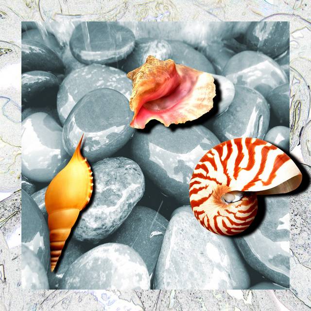 海螺装饰画2