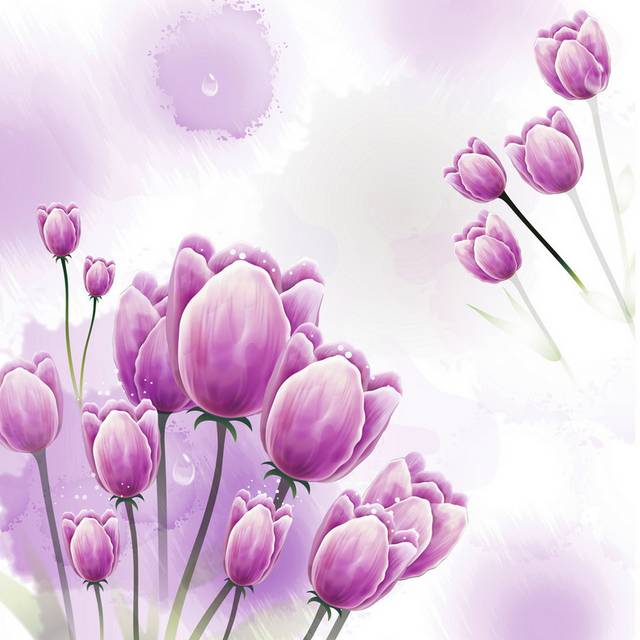 紫色郁金香装饰画