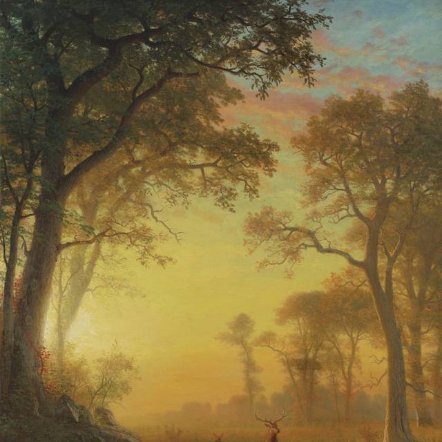 夕阳中的麋鹿风景油画