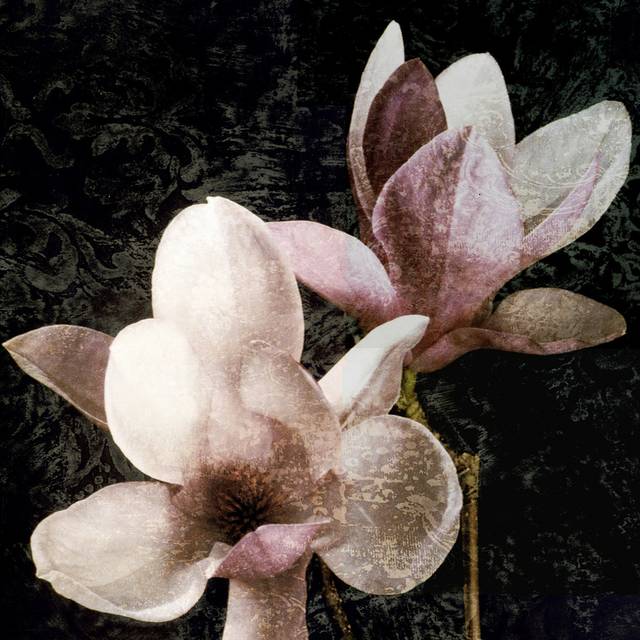 纯色花朵装饰画