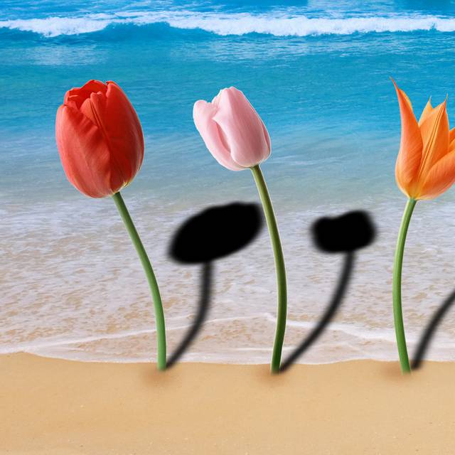 海岸花朵装饰画