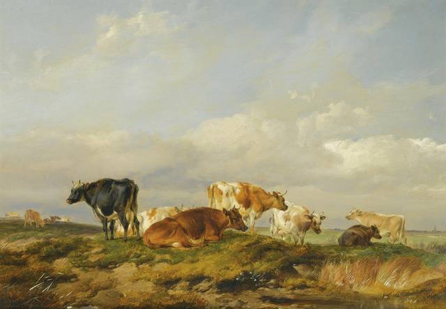 草地上休息的牛群风景油画
