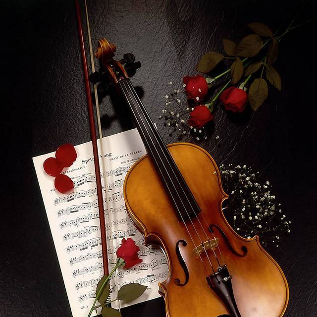 玫瑰小提琴装饰画1