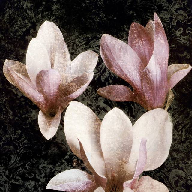 纯色花朵装饰画1