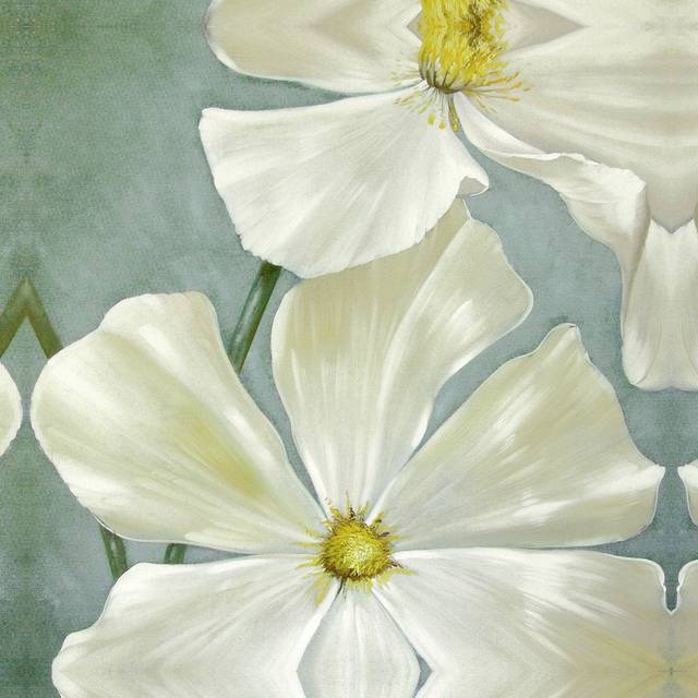 素雅白色花朵无框画1