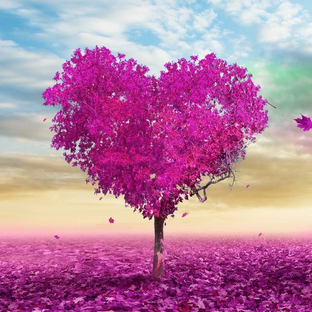 爱心紫色树背景