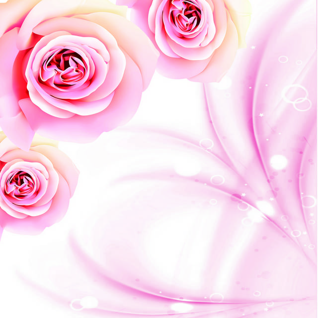 粉色绚丽花朵精美装饰画