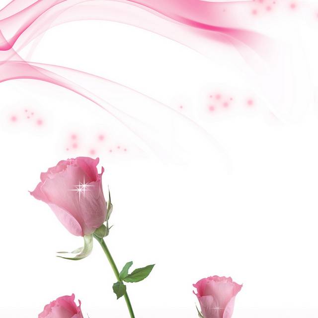 粉色精美玫瑰时尚装饰画