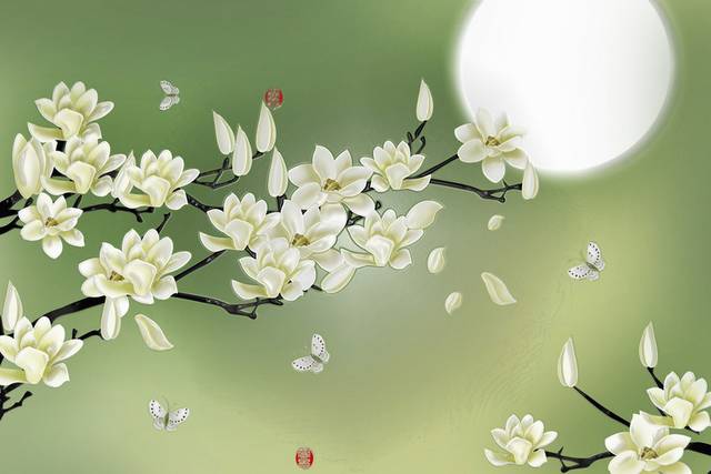 白色美丽花卉背景