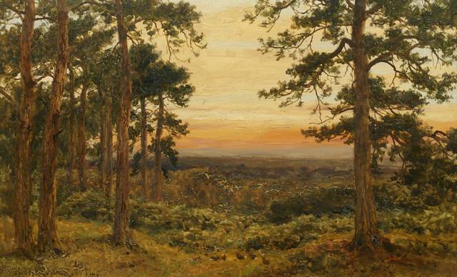 夕阳下的树林风景油画